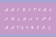 Pen Swan, a Script Font by Great Lakes Lettering (Thumbnail 11 of 11)