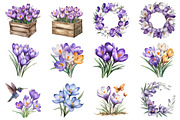 Watercolor Crocuses Flowers ClipArt, an Illustration by CitraGraphics (Thumbnail 3 of 4)
