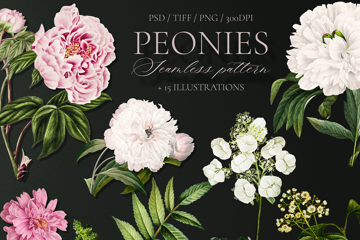 PEONIES Seamless Pattern, a Pattern Graphic by Splash! (Photo 9 of 10)