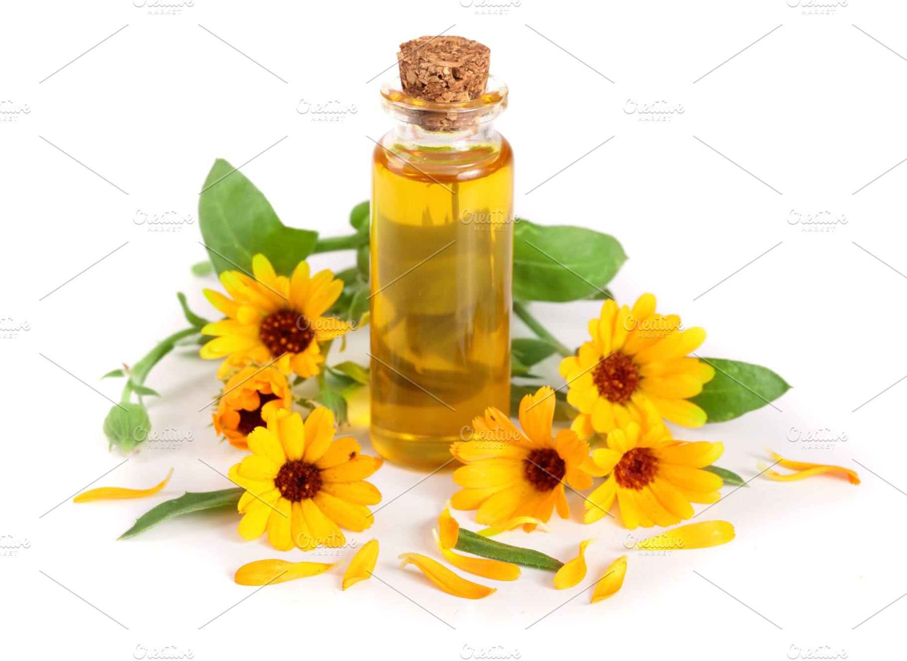 Aromatherapy essential oil with marigold flowers isolated white background, a Nature Photo by NataPhoto