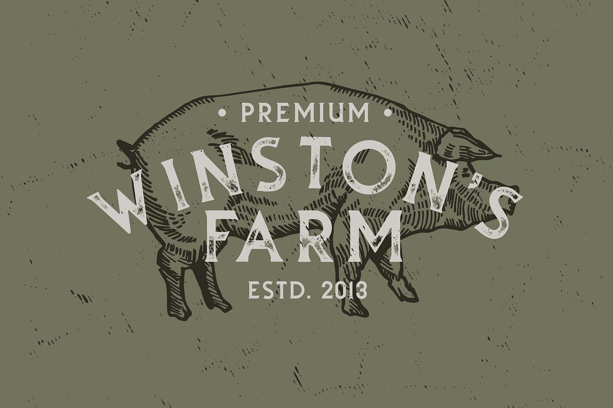 Stillhouse - Textured Vintage Font, a Serif Font by Surplus Type Co (Photo 5 of 9)