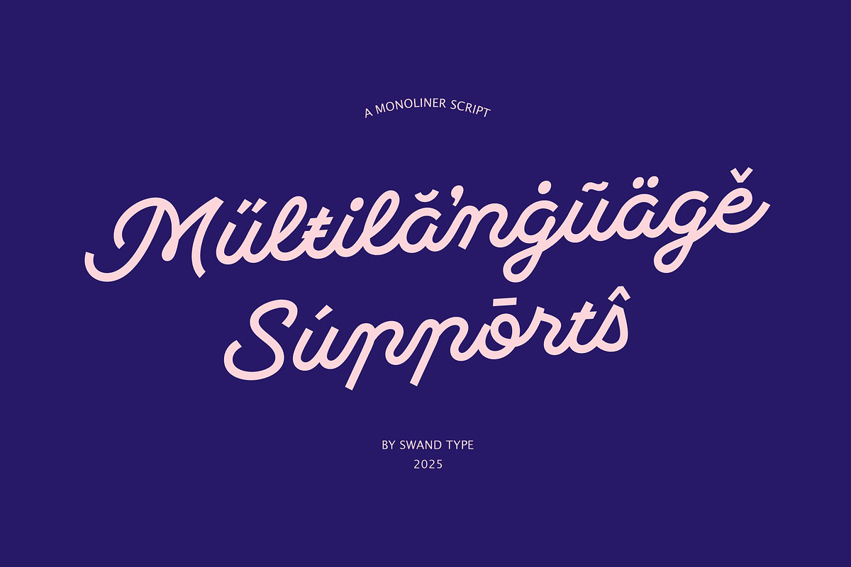 Monoliner, a Font by Swandtype (Photo 6 of 7)