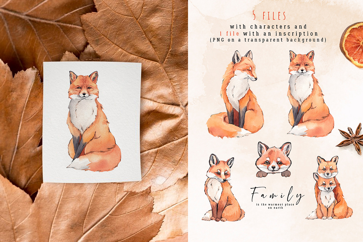 Fox family creator, an Animal Illustration by VerAna (Photo 2 of 14)