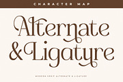 Gradeur Modern Serif Font, a Serif Font by Storytype Studio (Thumbnail 6 of 15)