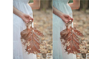 Kamin Fall Season, an Action Add-On by Kamin Lightroom Preset (Thumbnail 16 of 17)