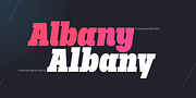 Palo Slab, a Slab Serif Font by TypeUnion (Thumbnail 9 of 13)