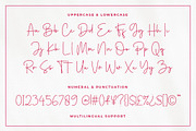 Winter Sonata Font, a Script Font by Cherryline Master (Thumbnail 8 of 8)