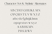 Sanctuario A Timeless Serif, a Serif Font by Prestige Artsy Studio (Thumbnail 10 of 10)