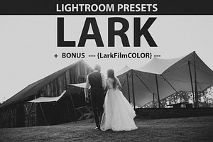 LARK LIGHTROOM PRESETS