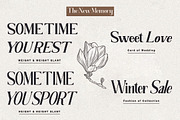 The New Memory, a Serif Font by TM Type (Thumbnail 12 of 17)