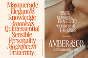 The Awesome Serif Family (32 Fonts), a Serif Font by Nicky Laatz (Thumbnail 12 of 42)