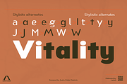 Nsai Pro Condensed, a Sans Serif Font by Aukimvisuel (Thumbnail 5 of 15)