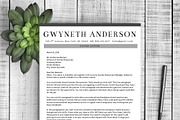 Professional Resume Template Grey, a Resume Template by Resume Template Shoppe (Thumbnail 3 of 4)