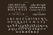 Sintta Elegant Serif Font, a Serif Font by Perfectype (Thumbnail 8 of 8)