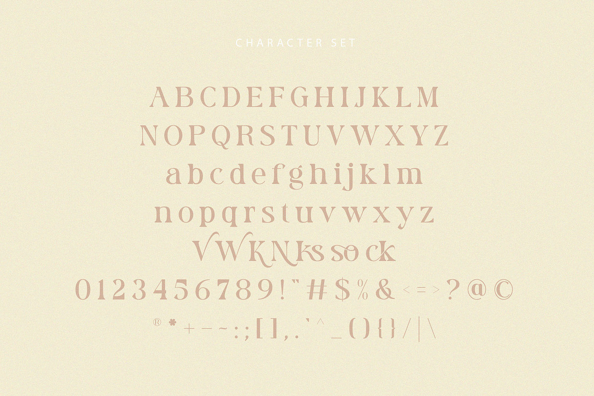 Rolaxs, a Serif Font by ToniStudio (Photo 7 of 10)