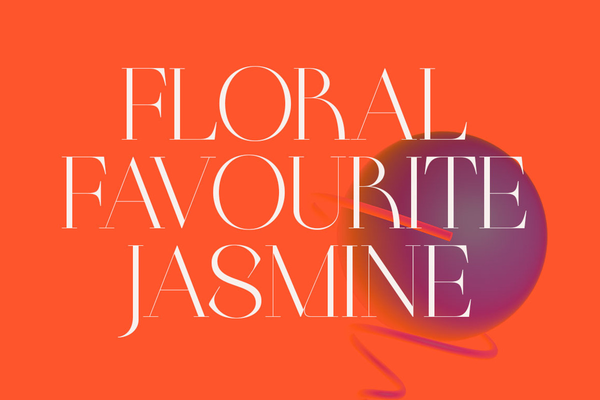 Braston - Elegant Serif Font, a Serif Font by Dora Typefoundry (Photo 15 of 20)