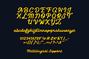 Groovy Shoeline - Monoline Script, a Script Font by fuzztype (Thumbnail 5 of 16)