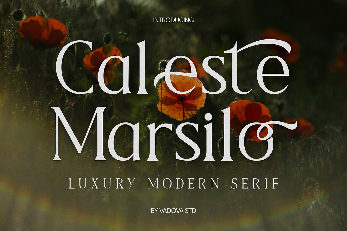 Caleste Marsilo Luxury Serif Font, a Serif Font by Vadovastd (Photo 1 of 7)