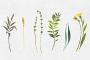 Gardening. Watercolor set, a Decorative Illustration by Maria's little shop (Thumbnail 3 of 9)