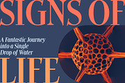 Cosmetica Font, a Serif Font by Mysterylab Designs (Thumbnail 13 of 14)