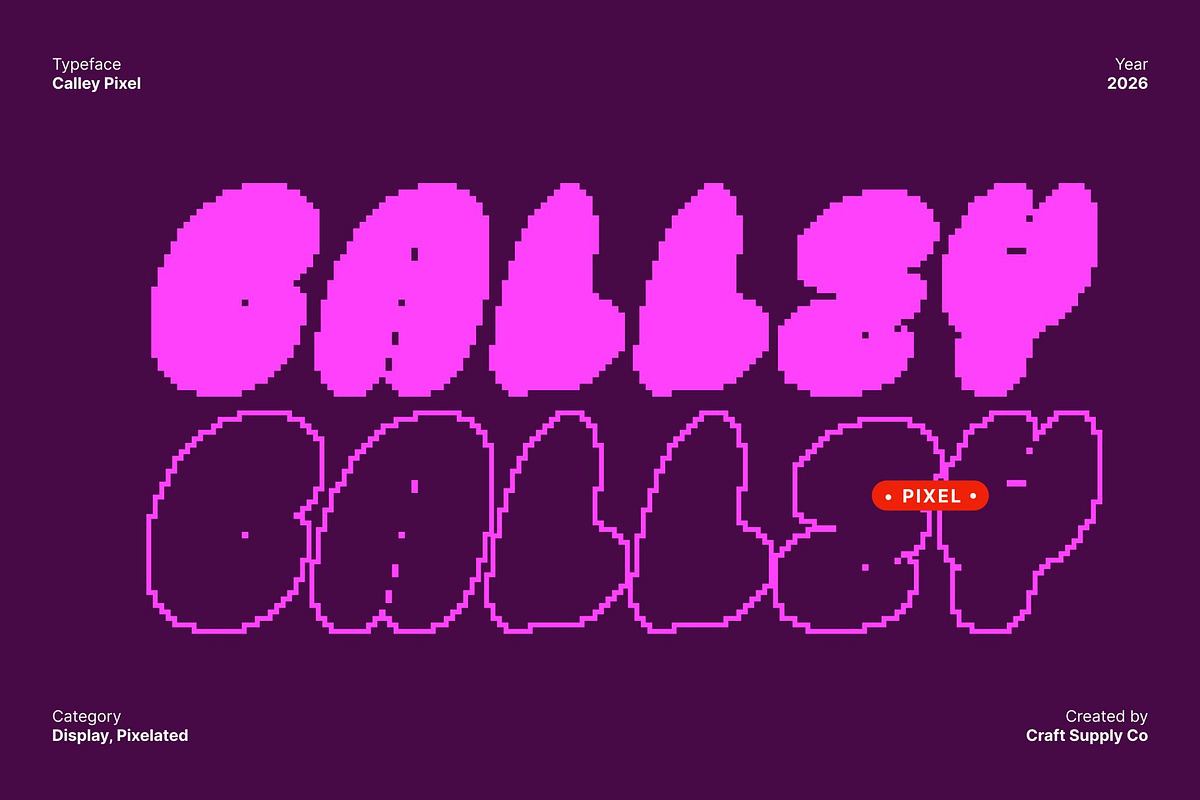 Calley Pixel, a Sans Serif Font by Craft Supply Co. (Photo 1 of 8)
