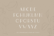 Wild Rye Hand Lettered Display Font, a Serif Font by Laras Wonderland (Thumbnail 12 of 15)