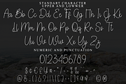 Fantastic, a Handwritten Font by FreshTypeINK (Thumbnail 8 of 8)