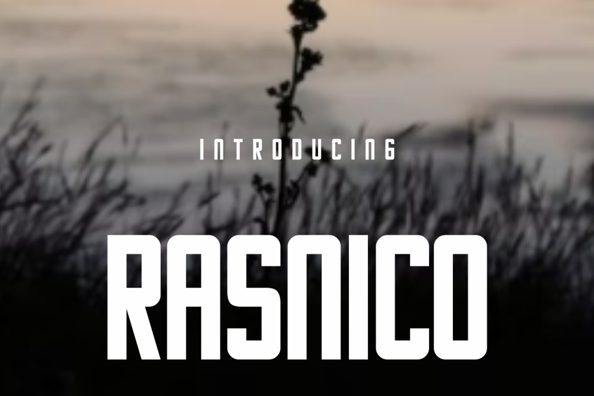 Rasnico, a Sans Serif Font by lelevien (Photo 4 of 6)