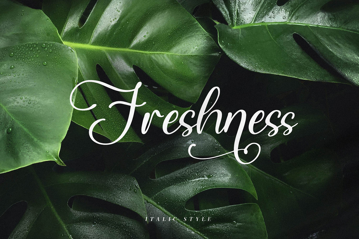 Qianetta, a Script Font by Integritype Studio (Photo 8 of 15)