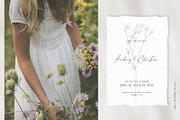Meadow Flowers Bundle volume 2, an Illustration by Pigment Café (Thumbnail 5 of 6)
