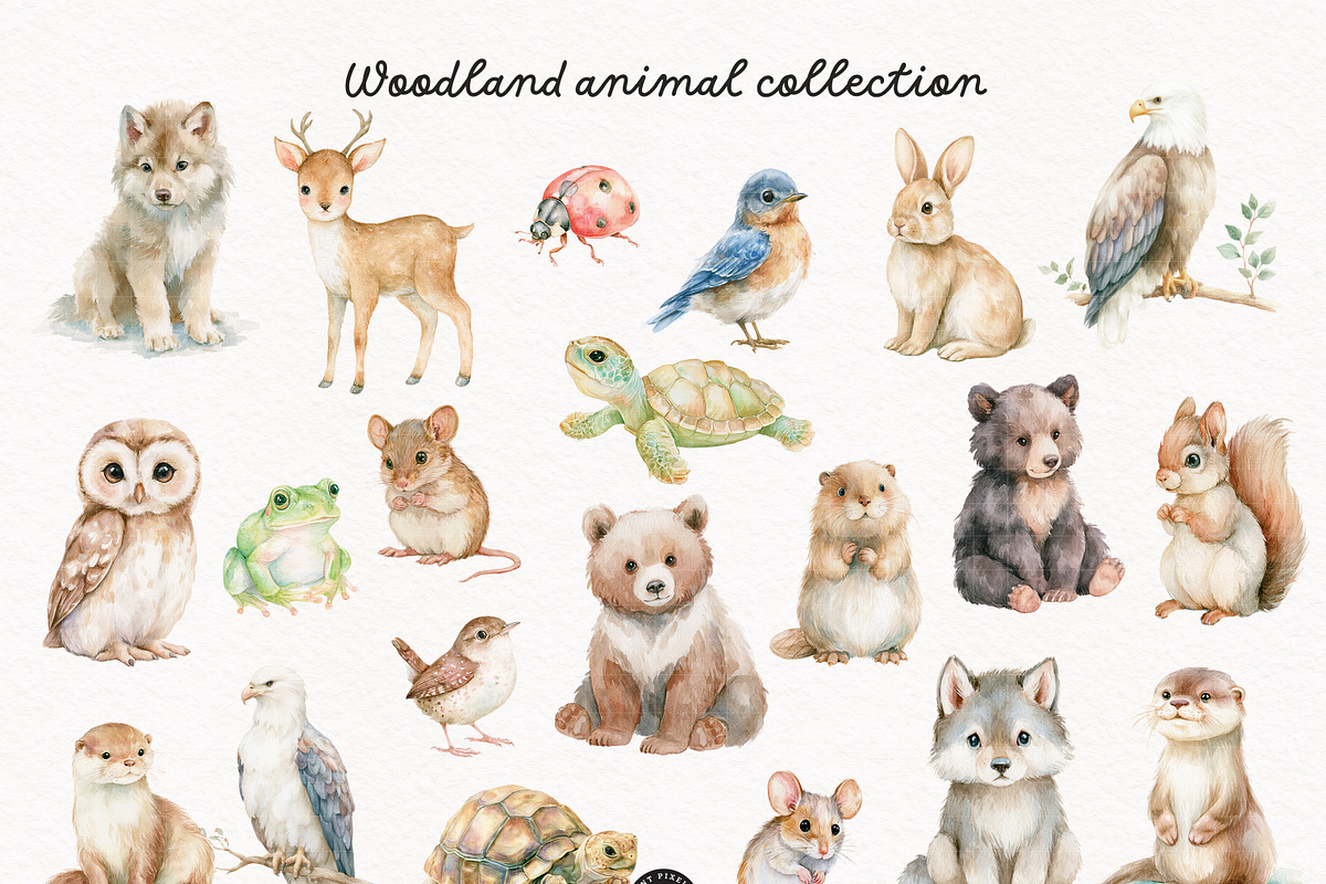 Woodland Atelier Clipart Bundle, an Animal Illustration by PaintPixelCo (Photo 2 of 15)