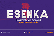 Esenka, a Sans Serif Font by Differentialtype (Thumbnail 1 of 12)
