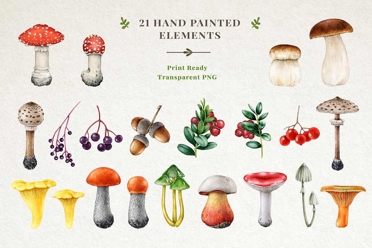 Forest Mushrooms Watercolor Clipart, a Decorative Illustration by AnitaPol (Photo 5 of 21)