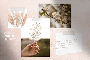 Cherry Blossom Graphic Set