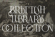 Frosty Garden - Elegant Retro Serif, a Serif Font by SilverStag Type Foundry (Thumbnail 3 of 19)