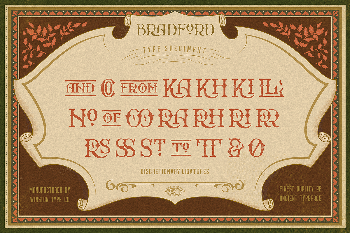 WT Bradford preview 8