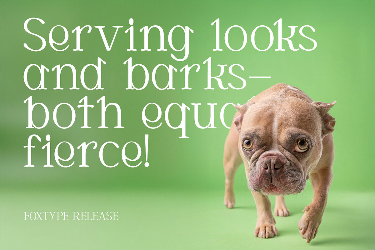 CORTEXO – Modern Serif Typeface, a Serif Font by Foxtype (Photo 3 of 7)