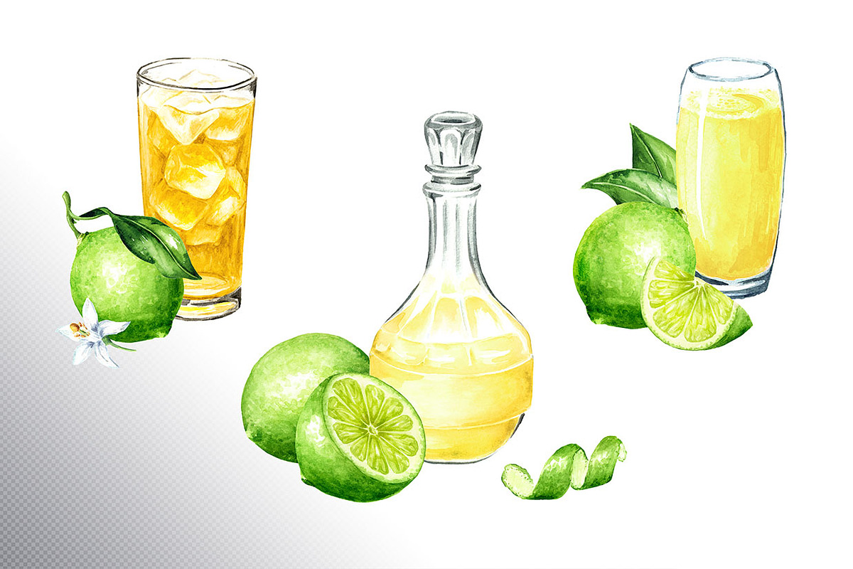 Lime citrus. Watercolor collection, a Food Illustration by Daria Ustiugova (Photo 14 of 21)