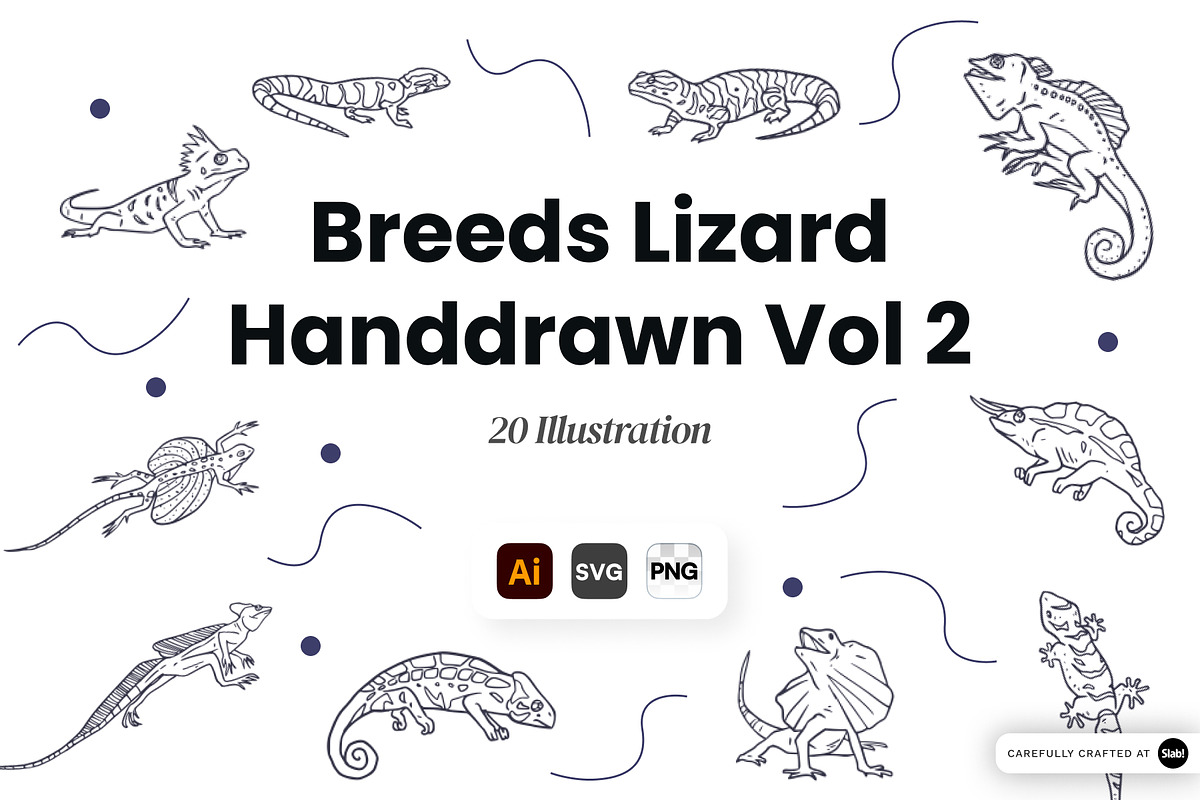 Breeds Lizard Hand-Drawn Vol. 2, an Animal Illustration by SLAB! Design (Photo 1 of 3)