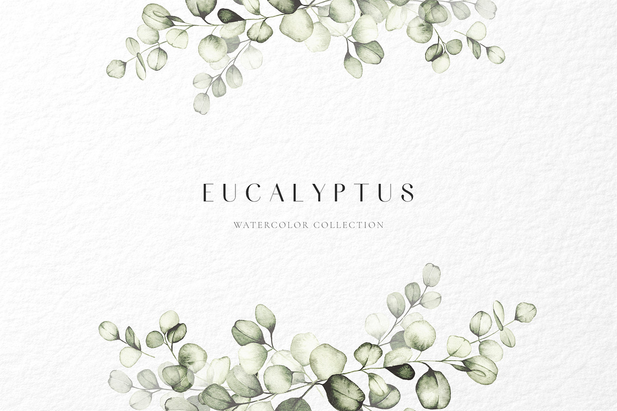 Eucalyptus watercolor illustrations, a Decorative Illustration by Liliia Polos Illustration (Photo 1 of 11)
