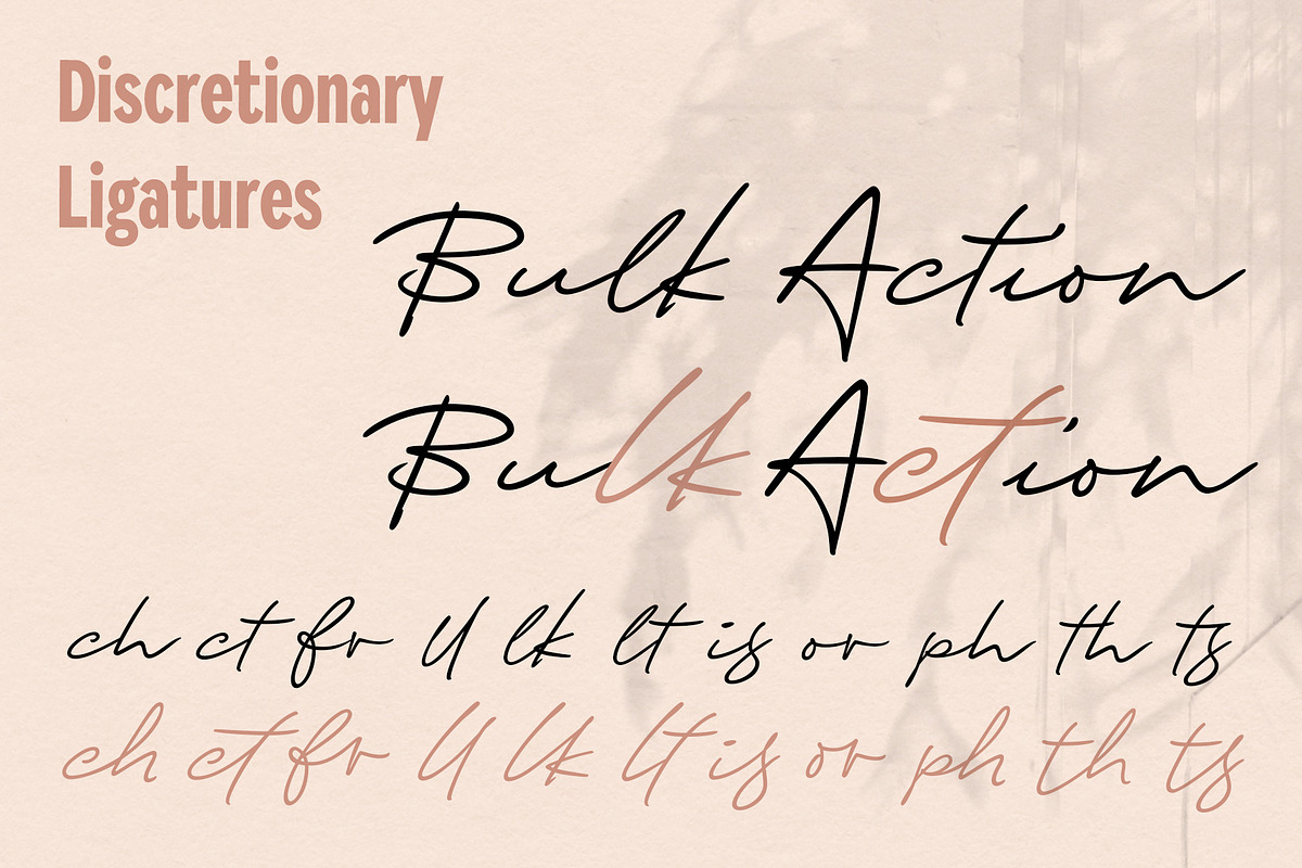 Ellie Script - handwriting style, a Script Font by Fenotype (Photo 11 of 14)