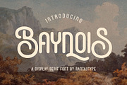 Baynois Vintage Monoline Font, a Serif Font by RantautypeStudio (Thumbnail 1 of 15)