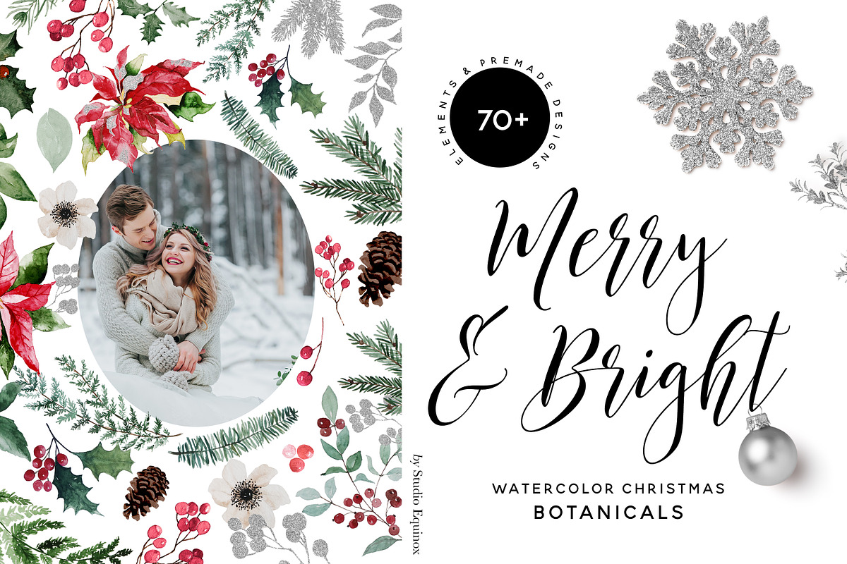 Merry & Bright Watercolor Botanicals, an Illustration by studioequinox (Photo 9 of 10)