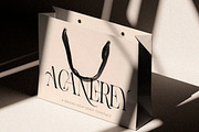 Aroney Family | 5 Style Fonts, a Serif Font by IM Studio (Thumbnail 10 of 12)