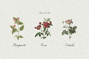 Lettresa Handwritten Typeface, a Script Font by RT Studio (Thumbnail 8 of 11)