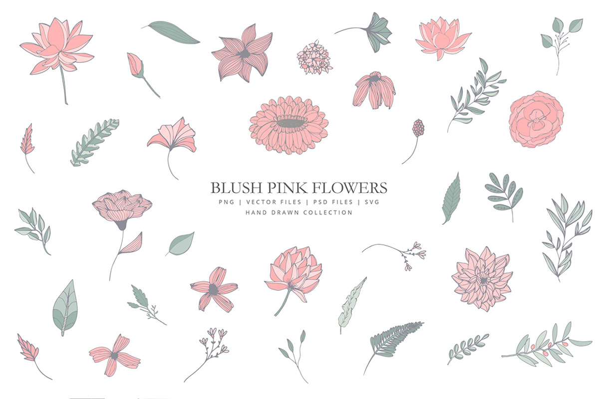 Clip art with blush pink flowers, a Graphic by AS Studio (Photo 1 of 5)