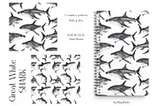Watercolor Great White Sharks Set, an Animal Illustration by MayaNavits (Thumbnail 5 of 7)