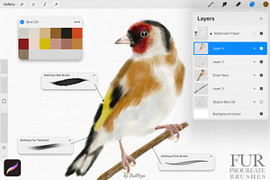 Watercolor Fur Procreate Brushes