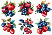 Watercolor Berries Clipart, an Illustration by Craft Nest (Thumbnail 3 of 12)