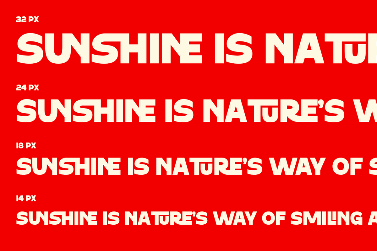 Sokochi - Bold Modern Ligature Font, a Font by Pekotype (Photo 11 of 15)